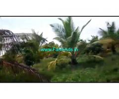 4 Acre Farm Land for Sale Near Mysore