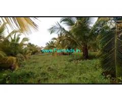 4 Acre Farm Land for Sale Near Mysore