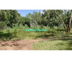 3 Acre Farm Land for Sale Near Mysore