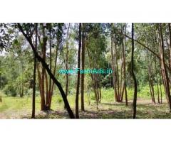 3 Acre Farm Land for Sale Near Mysore