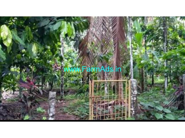 37 cents DC converted Farm land for Sale near Paladka 37 cents DC converted Farm land for Sale near Paladka