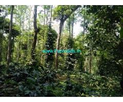 5 Acre Coffee Estate for sale near Aldur Mudigere Road