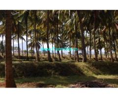 18 Acres Coconuts And Fruits Farm Sale near Aanamalai