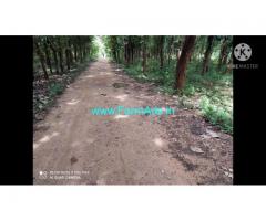 5.5 Acre Farm Land for Sale Near Mysore