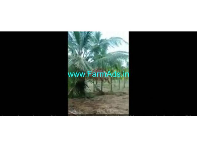 13 Acres 27 Gunta Farm Land For Sale In Arsikere 13 Acres 27 Gunta Farm Land For Sale In Arsikere