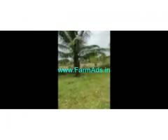 13 Acres 27 Gunta Farm Land For Sale In Arsikere 13 Acres 27 Gunta Farm Land For Sale In Arsikere