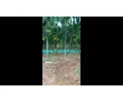 13 Acres 27 Gunta Farm Land For Sale In Arsikere 13 Acres 27 Gunta Farm Land For Sale In Arsikere