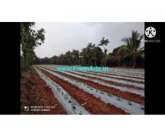 4.5 Acre Farm Land for Sale Near Malavalli towards Talakadu
