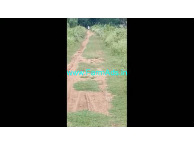 1 Acre 20 Gunta Agriculture Land For Sale In Mudinahalli 1 Acre 20 Gunta Agriculture Land For Sale In Mudinahalli