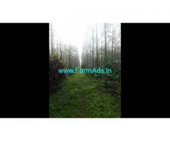 5.27 Acres Farm Land For Sale In Chikmagalur