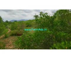 4.5 Acre Farm Land for Sale Near Mysore