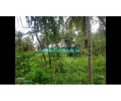 3.5 Acre Farm Land for Sale Near Talakadu