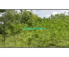 2 Acres 30 Gunta Agriculture Land For Sale In Mysuru ringroad
