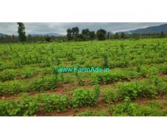 4.5 Acre Farm Land for Sale Near Mysore