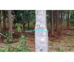 3.15 Acre Farm Land for Sale Near Mysore