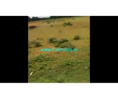 1.25 Acre Farm Land for Sale Near T.Narasipura