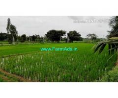 3 Acre Farm Land for Sale Near Mysore