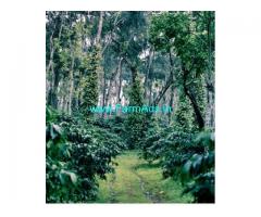 190 Acres Multi Crop Plantation for Sale at Mudigere