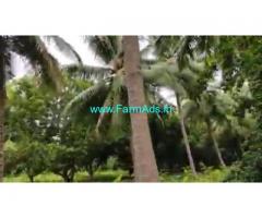3 Acres Agriculture Land For Sale In Sembulipuram