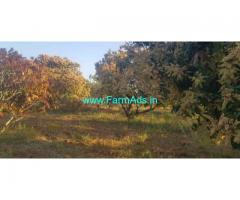 10 Acre Mango garden with shed for Sale Chintamani Madanapalli Road 10 Acre Mango garden with shed for Sale Chintamani Madanapalli Road