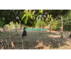 44 Cent Farm Land For Sale In Sembulipuram