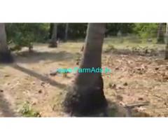 44 Cent Farm Land For Sale In Sembulipuram