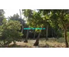 44 Cent Farm Land For Sale In Sembulipuram