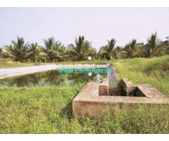 62 Acres Coconut Farm Sale At Thirumoorthi Malai