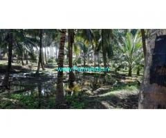 20 Acres Coconut Farm Sale At Aanamalai