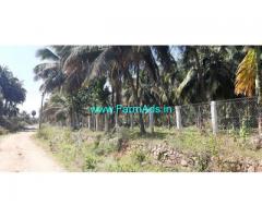 20 Acres Coconut Farm Sale At Aanamalai