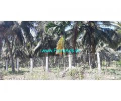 20 Acres Coconut Farm Sale At Aanamalai