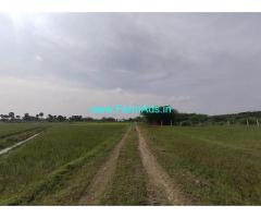 20 Acres Organic farm land with Farm House sale at Avanipur