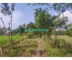 20 Acres Organic farm land with Farm House sale at Avanipur