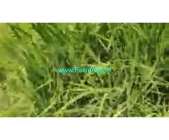70 Cent Farm Land For Sale In Kadapakkam