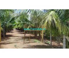 12 Acre Farm Land for Sale Near Mysore