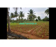 4.5 Acre Farm Land for Sale Near Mysore
