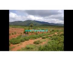 8 Acre Farm Land for Sale Near Mysore