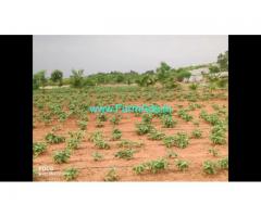 3 Acre Farm Land for Sale Near Mysore