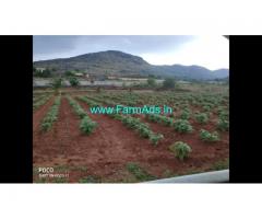 3 Acre Farm Land for Sale Near Mysore
