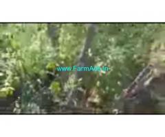 12 Acres Farm Land For Sale In Hanur