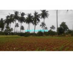 10 Acre Farm Land for Sale Near Mysore