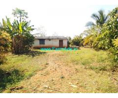 10 Acres Coconut farm for Sale near Tumkur