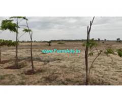 2 Acres Farm Land For Sale In Marakkanam