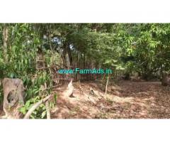 2.25 Acres Farm Land For Sale In Edaikazhinadu