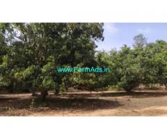 2.25 Acres Farm Land For Sale In Edaikazhinadu