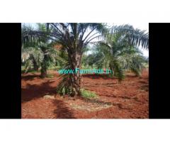 8 Acre Farm Land for Sale Near Mysore
