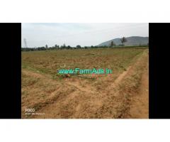 5 Acre Farm Land for Sale Near Mysore