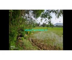 2 Acre Farm Land for Sale Near Mysore