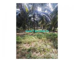 60 Acre Coconut Farm land in Anaimalai