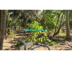 2.80 Acres Agriculture Land For Sale In Edaikazhinadu